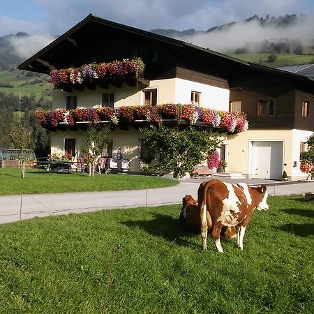 Rieserhof/Fam. Meissnitzer Taxenbach Buitenkant foto