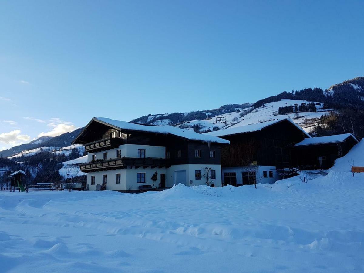 Rieserhof/Fam. Meissnitzer Taxenbach Buitenkant foto